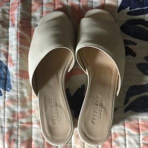 Everlane Wedge Sandal